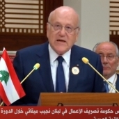 رئيس حكومة تصريف الأعمال اللبناني