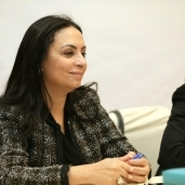الدكتورة مايا مرسي، رئيسة المجلس القومي للمرأة