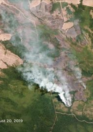 حريق غابات الامازون