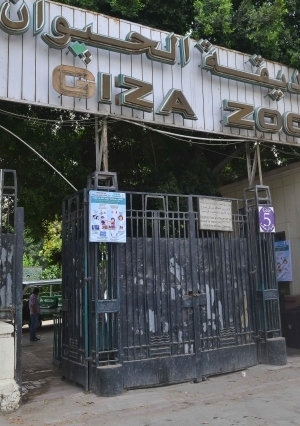 تعقيم حديقة الحيوان بعد 4 أشهر من إغلاقها أمام الجمهور بسبب كورونا