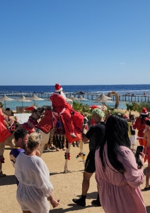 آلاف السياح تحتفل بالكريسماس على شواطئ مرسي علم.. جمل وربابة وبابا نويل