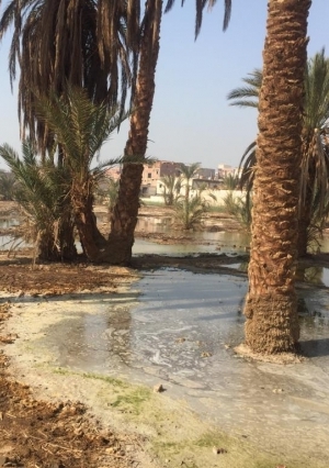 المياه الجوفية تغرق منازل في قرية «الكولا» بسوهاج