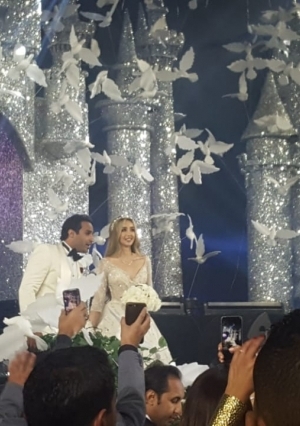 حفل زفاف هناء الزاهد و أحمد فهمي