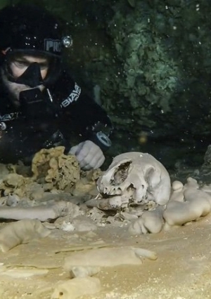 اكتشاف أكبر كهف تحت الماء في المكسيك يعود لأكثر من 2 مليون سنة