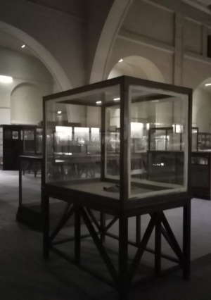 المتحف المصري ينظم احتفالية بمناسبة مرور 116 عاما على افتتاحه