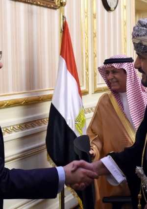 لقاء رئيس الوزراء المجلس التنفيذى للمنظمه العربيه للتنميه الاداريه