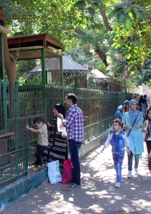 حديقة الحيوان في أول أيام عيد الأضحى