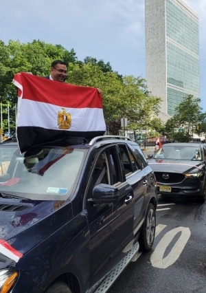 احتفالات المصريين في الخارج بثورة 30 يونيو