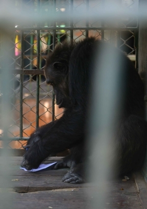 تعقيم حديقة الحيوان بعد 4 أشهر من إغلاقها أمام الجمهور بسبب كورونا