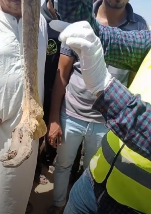بالصور.. العثور على سحر في حملة لتنظيف المقابر بسوهاج