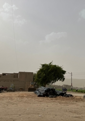 نشاط للرياح محملة بالأتربة تضرب مراكز محافظة أسيوط