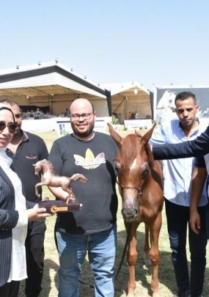 جوائز للفائزين في اليوم الأول لمهرجان الخيول بالشرقية ة