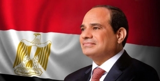 «فاهاجن» يشيد بالاقتصاد المصري والمشروعات الكبرى: نتطلع لنقل تجربة مصر إلى بلادنا