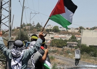 فلسطين تطالب مجلس الأمن بوقف جرائم التطهير العرقي الإسرائيلية في الأغوار