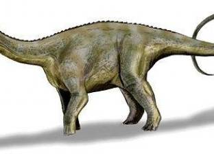وزنه 65 طنا.. تعرف على أضخم حيوان عاش على سطح الأرض قديما
