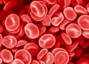 اكتشاف مكون جديد في دم الإنسان يدعم المناعة