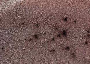 "ناسا" تنشر صورة لـ "عناكب المريخ"