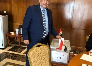 علماء "مصر تستطيع" يواصلون المشاركة في الاستفتاء