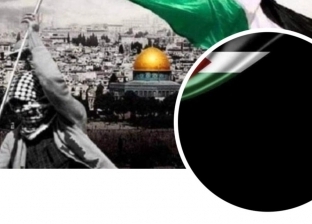 فيسبوك يتحول للون الأسود تضامنا مع الأشقاء في فلسطين