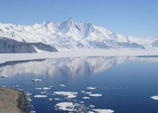 تتواجد في أعماق الجليد.. علماء يعثرون على مخلوقات غريبة في أنتاركتيكا