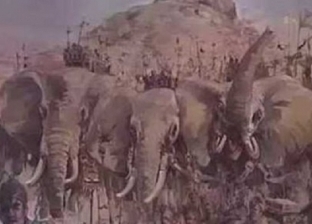 فيل أبرهة الحبشي يثير الجدل على مواقع التواصل الاجتماعي.. هل كان اسمه «محمود»؟