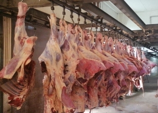 «التموين»: تخفيض أسعار اللحوم الحمراء بالمجمعات الاستهلاكية خلال عيد الأضحى