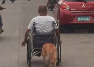 بالفيديو والصور| كلب يساعد صاحبه المعاق بدفع كرسيه