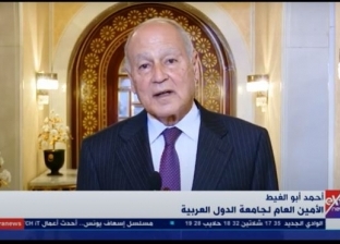 أحمد أبو الغيط يكشف تفاصيل اجتماعه مع الرئيس التونسي «فيديو»