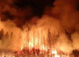 احتواء حريق غابات في وسط ولاية كاليفورنيا بأمريكا