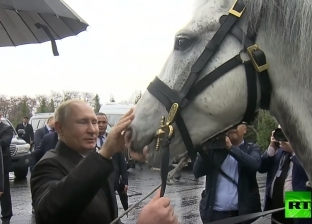 "حصان وكلب".. رئيس قرغيزستان يفاجئ بوتين بهدية مميزة