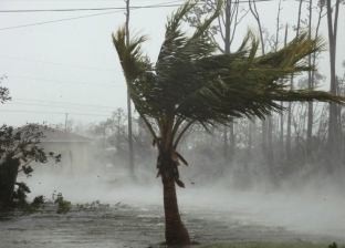 انقطاع الكهرباء في "ساوث كارولينا" جراء إعصار "دوريان"
