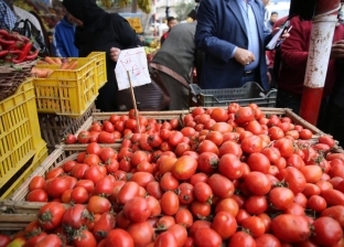 تراجع أسعار الخضر والفاكهة بأسواق الدقهلية اليوم.. الطماطم بـ3 جنيهات