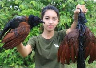 بالفيديو| امرأة تأكل الحيوانات المهددة بالانقراض