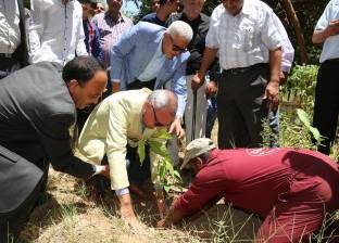 انطلاق حملة زراعة الأشجار المثمرة بمحافظة الإسكندرية