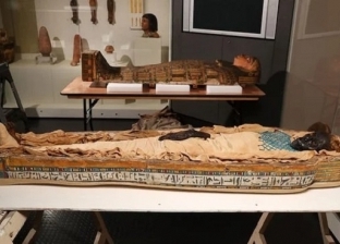 قبل موكب نقل المومياوات الملكية.. باحثون يكشفون لغز قتل تاكابوتي على يد مهووس منذ 2600 عام