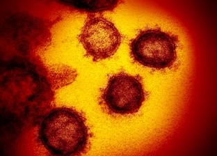 هونج كونج.. ارتفاع عدد الإصابات بفيروس كورونا إلى 62