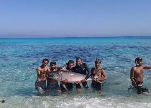فتح باب التسجيل لموسم صيد الأسماك الجديد بشمال سيناء