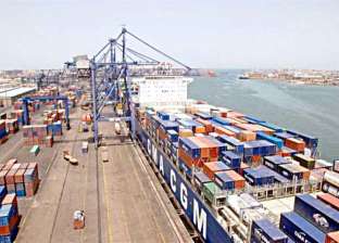 ميناء الإسكندرية يواجه فيروس كورونا بتطهير البضائع الواردة