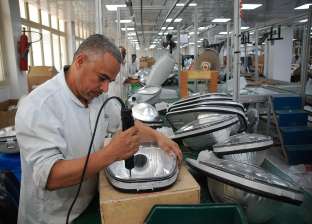 خبير اقتصادي: الدولة تكثف جهودها لتوطين وتعميق الصناعة المصرية