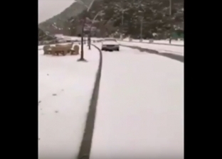 بالفيديو| أمطار غزيرة وثلوج كثيفة في السعودية