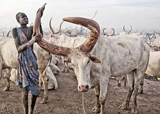يستحمون ببول الأبقار.. حياة قبيلة منداري البدائية بجنوب السودان