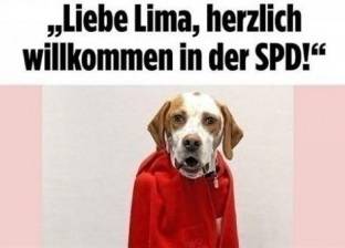 كلبة تحصل على عضوية حزب سياسي في ألمانيا