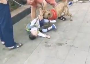 بالفيديو| إنقاذ طفل من أنياب كلب شرس بأعجوبة