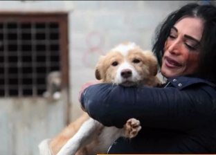 سورية عاشقة للحيوانات ترعى 3500 كلب ضال: باعت منزلها وأنفقت أموالها لحمايتها
