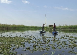 رفع 294 طن مخلفات في حملة تطهير النيل والترع بالقليوبية