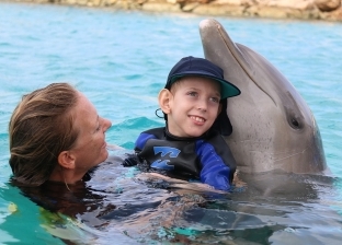هل يمكن علاج أطفال التوحد بأصوات الدلافين؟ متخصص يجيب
