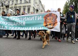 مظاهرات أوكرانية لـ"حماية حقوق الحيوان".. الرحمة حلوة
