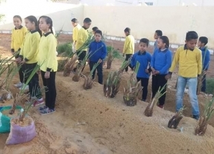 زراعة 4 آلاف شجرة بـ25 مدرسة ضمن مبادرة "اتحضر للأخضر" بالوادي الجديد