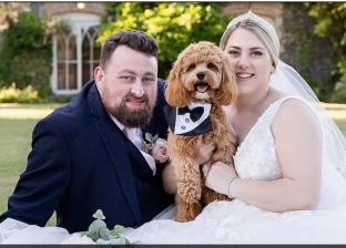 الكلاب بدلا من وصيفات الشرف في حفلات الزفاف ببريطانيا: بدعة جديدة