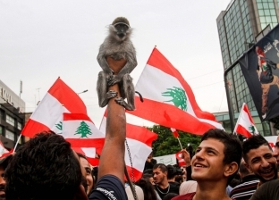 آخر طرائف مظاهرات لبنان.. قرد على كتف فتاة